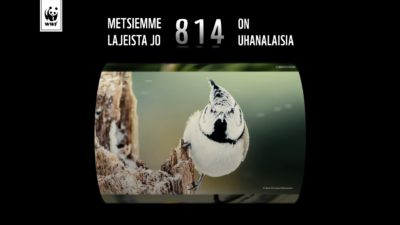 WWF Suomi – Lahja Metsälle